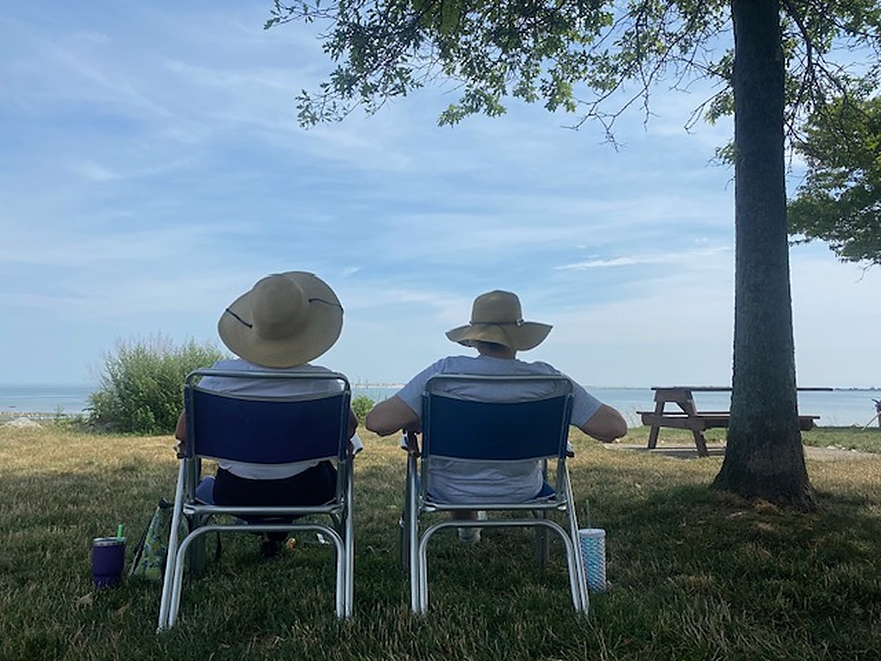 Two neighbors sit in folding chairs under a tree, looking out over the water on a sunny afternoon